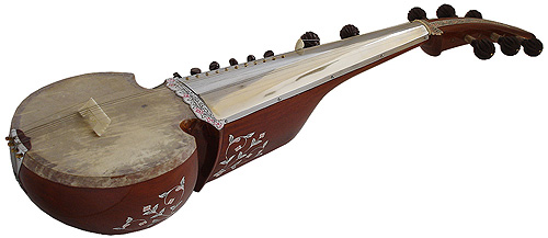 1003_sarod