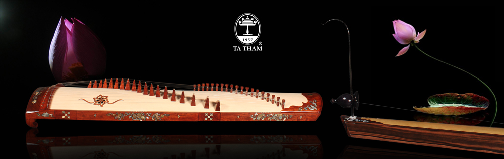 Stringed instruments